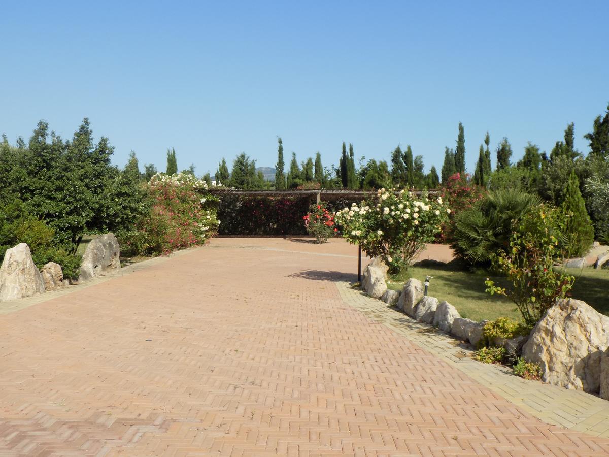 Sorrentina Alghero